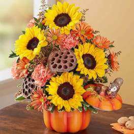 Pumpkin N' Posies