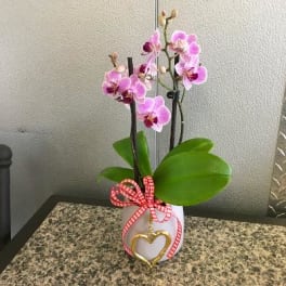 Purple Orchid Plant w/ Gold Heart Charm
