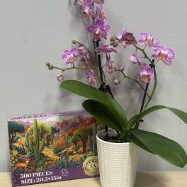 Lavender Orchid & Puzzle