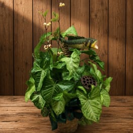 Basket arrangement of green foliage with a fish decoration and dark ribbon