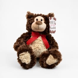 Brown plush teddy bear with a red ribbon and gift tag