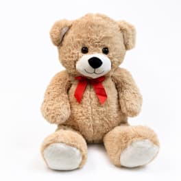 Plush teddy bear with a red ribbon bow sitting on a white background