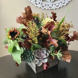 We Love Fall & Succulents