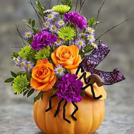 Spider Pumpkin