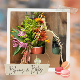 Mixed bouquet in a cardboard carrier with a drink cup and macarons.