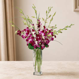 Purple orchids arranged in a tall clear glass vase