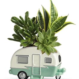 Teleflora's Cool Camper