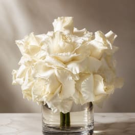 White Roses