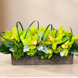 Bright green orchid arrangement in a rectangular wooden planter