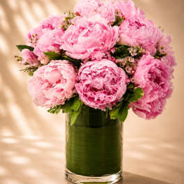 Rosé Peony Couture
