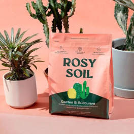 Rosy Soil Cactus & Succulent Blend - 4 Qt.