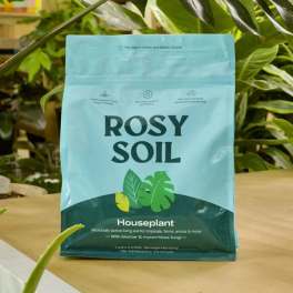 Rosy Soil Houseplant Mix - 8 QT