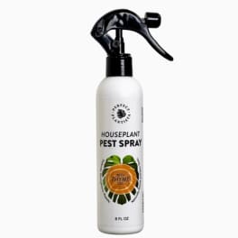 White spray bottle labeled houseplant pest spray