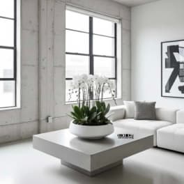 White orchids in a low white bowl on a coffee table