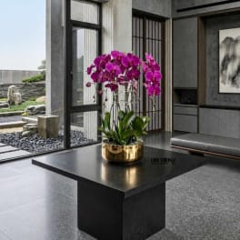 Potted arrangement of purple orchids in a gold container on a black table