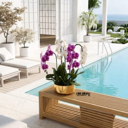 Potted orchids in white and purple on a wooden bench beside a pool