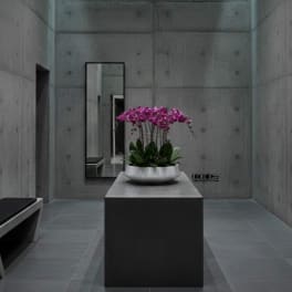 Purple orchids in a white bowl on a pedestal in a concrete room