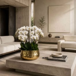 White orchids arranged in a gold bowl on a low table