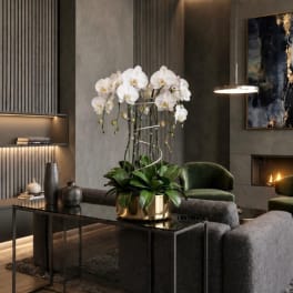 White orchids arranged in a gold pot on a glass table in a modern living room.