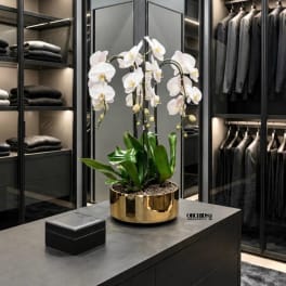 White orchid plant in a gold pot on a dark table