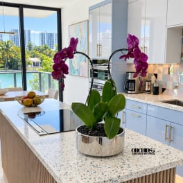 Purple orchid plant in a silver pot on a kitchen island