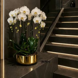 White orchids in a gold planter beside a staircase
