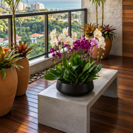 Potted orchids arranged on a modern patio table with a city and ocean view.