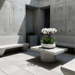 White orchids in a low white planter on a concrete table