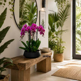 Potted purple orchids on a wooden bench in a bright room