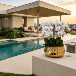 White orchid arrangement in a gold bowl beside a pool