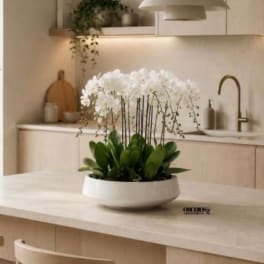 White orchid arrangement in a low white bowl on a kitchen island