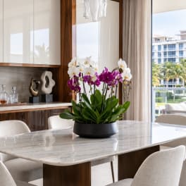 Potted orchid arrangement with white and purple blooms on a dining table