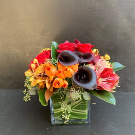 Mixed bouquet with red roses, black calla lilies, and orange tulips in a glass vase