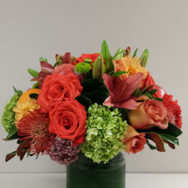 Chic Tropics