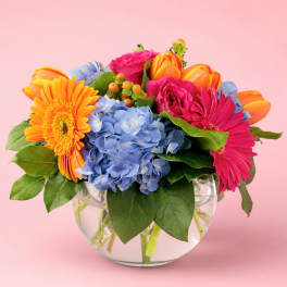Colorful mixed bouquet in a clear glass vase with blue hydrangeas and bright gerberas