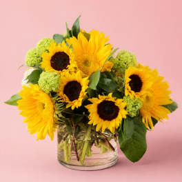 Sunflower bouquet in a clear glass vase