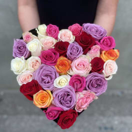 Mix Roses