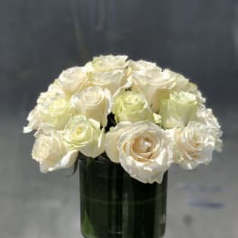Peaceful Rose
