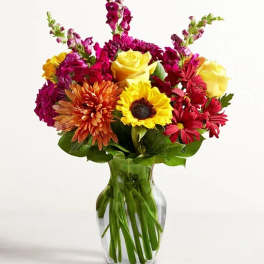 1-800 Expressions of Fall