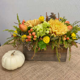 Soft Autumn