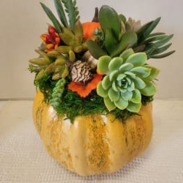 Succulent arrangement in a painted pumpkin container with moss and pinecone accents