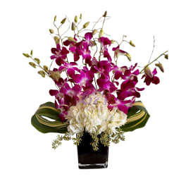 Purple dendrobium orchids and white hydrangeas in a black square vase with striped foliage