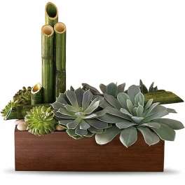 Succulent arrangement in a wooden box with bamboo tubes