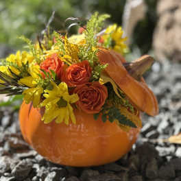 Orange pumpkin container filled with orange roses and yellow daisies