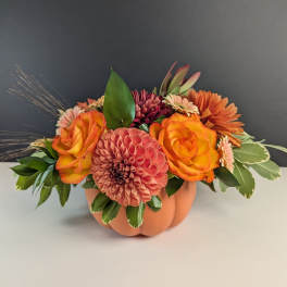Pumpkin Patch Blooms