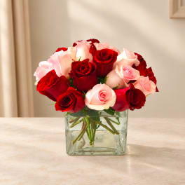 Red and pink roses arranged in a clear square glass vase