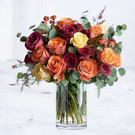 Mixed Roses
