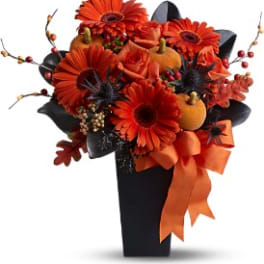 Jack-O'-Lantern Blooms