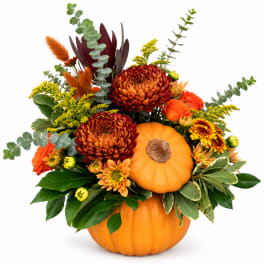 Autumn floral arrangement in a pumpkin container with orange and burgundy blooms