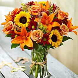 Warm wishes